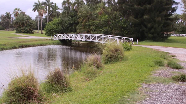 Florida Golfové Hřiště Zatažený Den — Stock fotografie