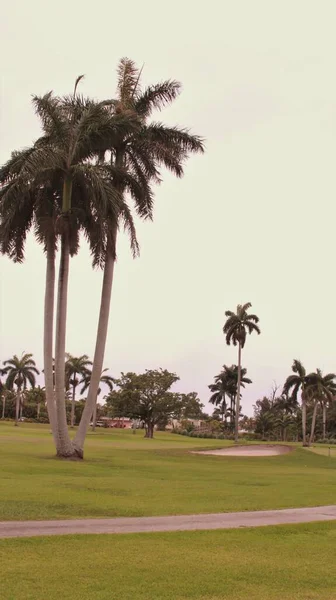 Florida Golfbana Mulen Dag — Stockfoto