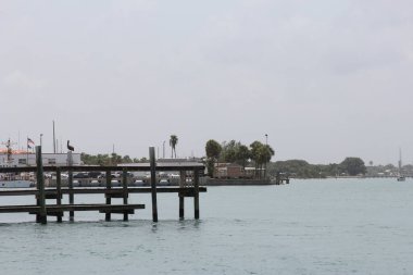 Kuşlar güvertedeki su kenarında tünediler.