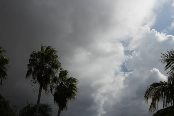 Gloomy Tropical Clouds Florida — Stock Photo, Image