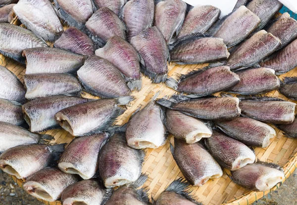Dried Fish — Stock Photo, Image