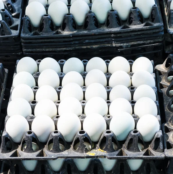 Белые яйца в лотке для яиц — стоковое фото