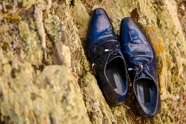 Eleganti scarpe da uomo nere — Foto Stock