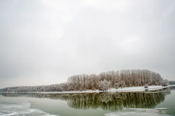 Lago e árvores no tempo de inverno — Fotografia de Stock
