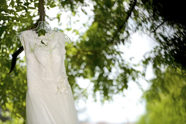 Vestido de novia colgado en árbol — Foto de Stock