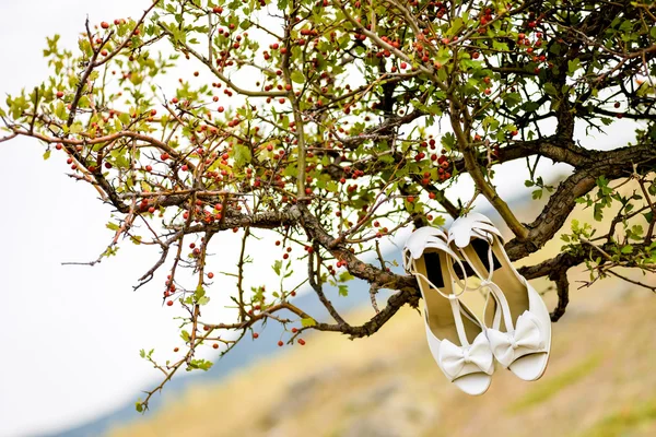 Bride white shoes hanged on a tree — Stock Photo, Image