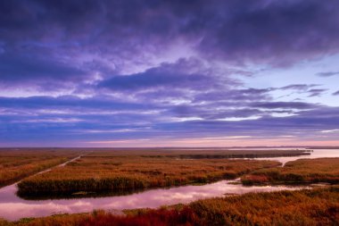 Nehir ve bitki örtüsü dramatik mavi gökyüzü ile