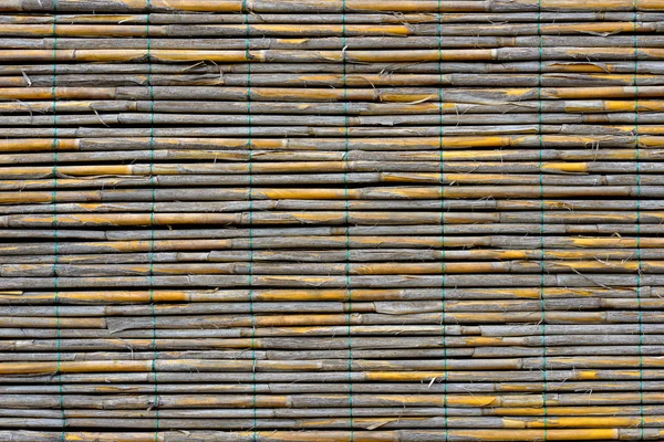 Reed panel — Stock Photo, Image