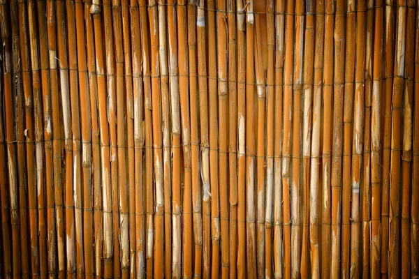 Reed fence garden — Stock Photo, Image