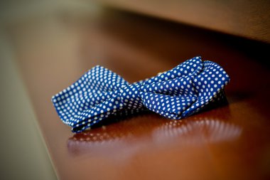 Polka noktalı mavi papyon