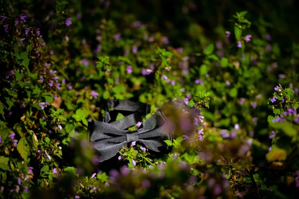 Black bow tie sitting on purple flowers on a summer day — Stock Photo, Image