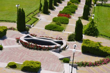 Parkın arka sokakta bir güzel yaz günü ağaçlarda ile