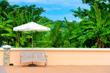 Şemsiye ve palmiye ağaçları ile ahşap Bank