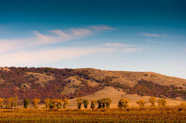 Colina con árboles en otoño —  Fotos de Stock