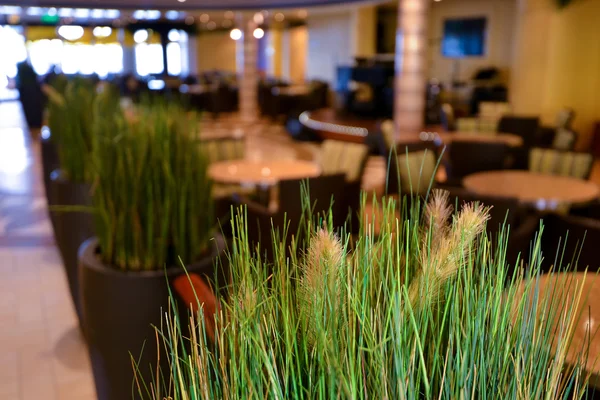 Ristorante elegante sala da pranzo, erba verde — Foto Stock