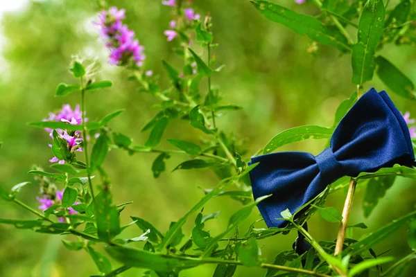 Mor bir çiçek doğadan asılı papyon — Stok fotoğraf
