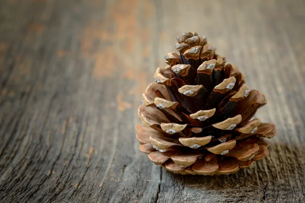 Isolated fir cone with wooden background Royalty Free Stock Photos