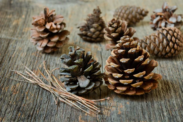 Cones de abeto isolados com fundo de madeira — Fotografia de Stock