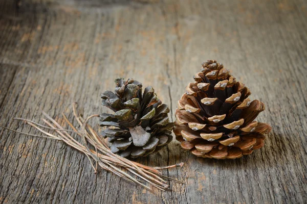 Two fir cones with branches Royalty Free Stock Images