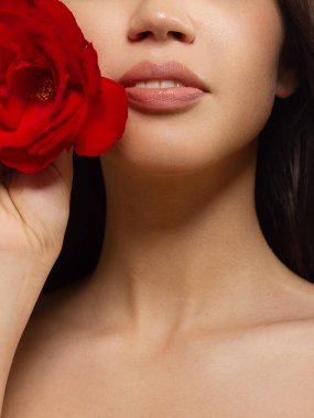 Yakın plan mükemmel dudak makyajı güzel kadın ağzı. Tombul seksi dolgun dudaklar. Makro fotoğraf yüzü detayı. Mükemmel bir cilt, taze dudak makyajı. Tatlı pembe ruj, mor renk. Sevgililer günü tarzı