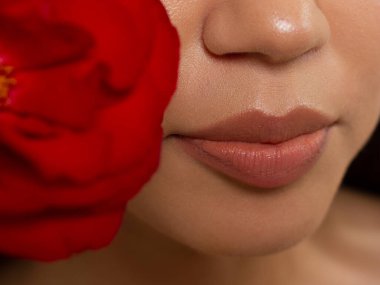 Cinsel dolgun dudaklar. Dudak parlatıcısı ve kadın derisi. Ağız kapalı. Dudaklarda ve kozmetolojide artış. Kırmızı dudaklar. Açık gözlerle harika bir yaz havası. Büyük çiçek. Çıplak dudak parlatıcısı