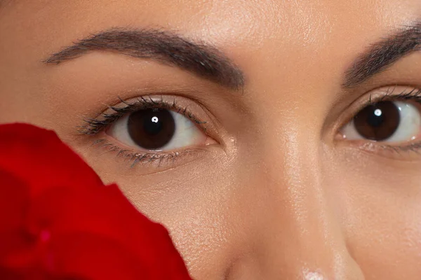 Elegancia Primer Plano Ojo Femenino Con Sombra Ojos Marrón Oscuro — Foto de Stock