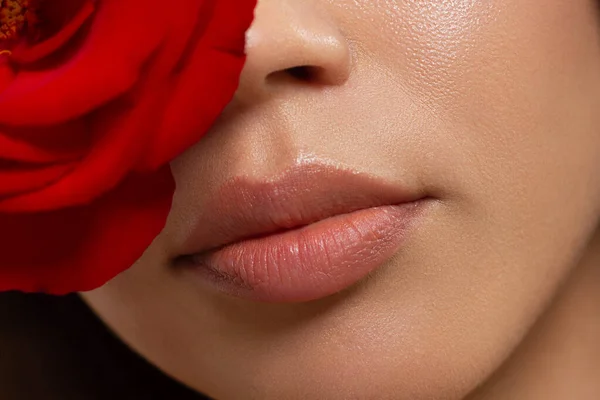 闭合丰满的嘴唇 Lip Care Augmentation Fillers 带有面部细节的宏观照片 外形自然 外形完美 特写完美自然唇妆容美丽的女性嘴 丰满性感的嘴唇 — 图库照片