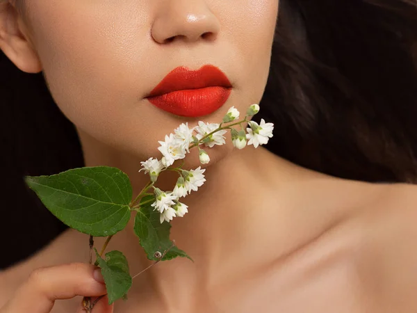 Cosméticos Maquillaje Tendencias Brillo Labial Brillante Lápiz Labial Los Labios — Foto de Stock