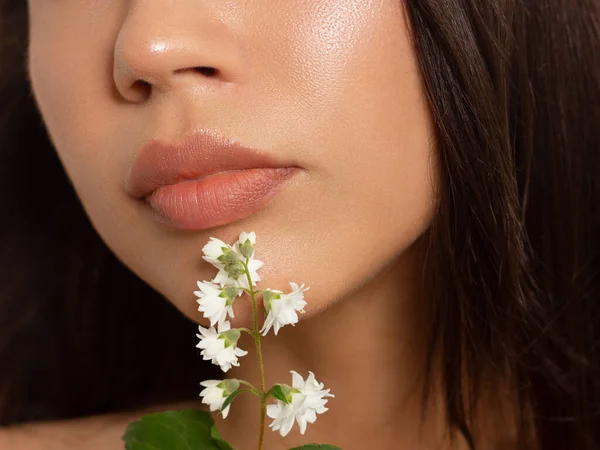 Cosméticos Maquillaje Tendencias Brillo Labial Brillante Lápiz Labial Los Labios — Foto de Stock