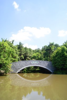 Kanal ve ağaçlar sahne