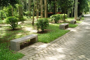 Ağaçlar ve ormanlar