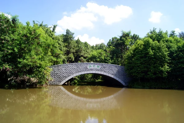Kanal ve ağaçlar sahne
