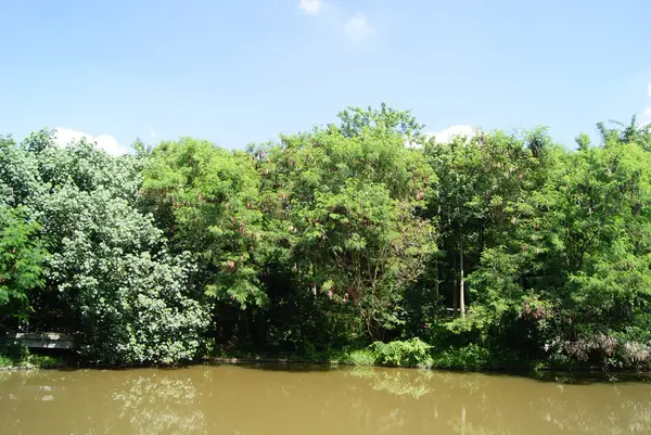 运河和树木风景 — 图库照片