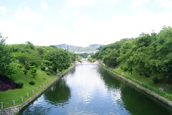 O canal e a paisagem das árvores — Fotografia de Stock