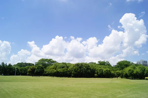 El paisaje verde del césped —  Fotos de Stock