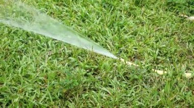 Çim yağmurlama