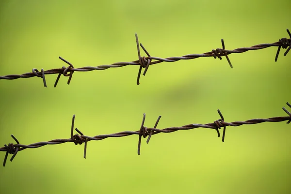 Barbed Wire Fence — Stock Photo, Image