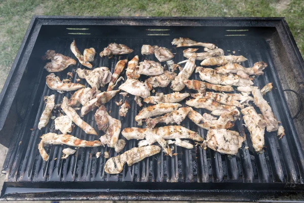 Vue détaillée du poulet grillé — Photo