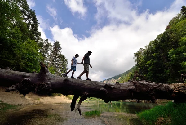 Dva lidé na kmen padlého stromu na rovnováhu — Stock fotografie