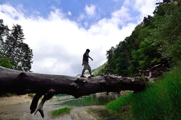Muž na kmen padlého stromu na rovnováhu — Stock fotografie