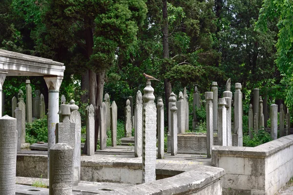 Antica lapide islamica in un cimitero — Foto Stock