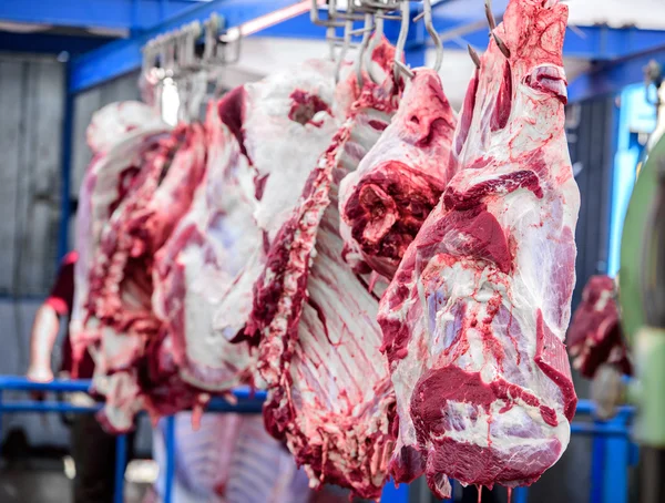 Vacas de matadouro, penduradas em ganchos — Fotografia de Stock