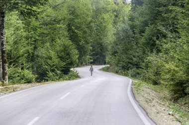 küçük çocuk yalnız orman yol yürüme