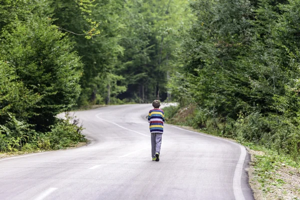 Malý chlapec šel sám na cestě v lese — Stock fotografie