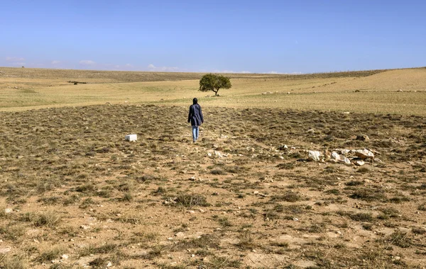 Meisje lopen naar een enkele boom op het platteland — Stockfoto