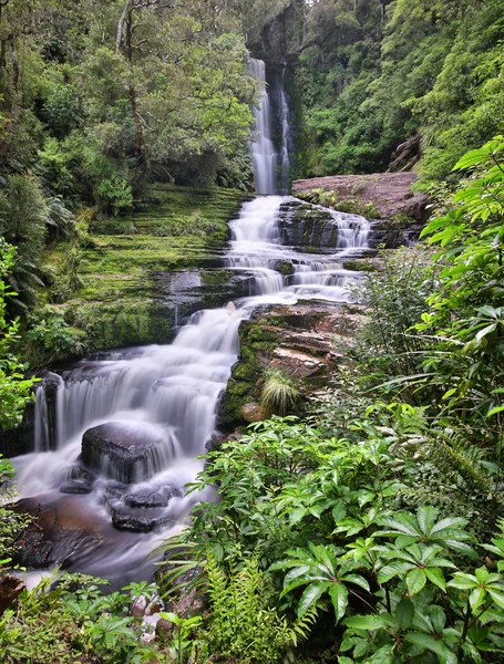 McLean Falls (Catlins Forest Park Nuova Zelanda ) — Foto Stock