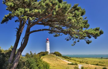 Deniz fenerinde Kloster (ada Hiddensee - Almanya)