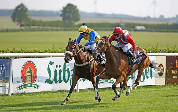 Hästkapplöpning 03 — Stockfoto