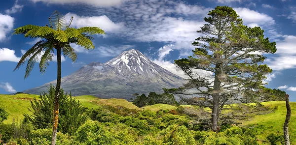 Vulkaan Taranaki, Nieuw-Zeeland - Hdr panorama — Stockfoto