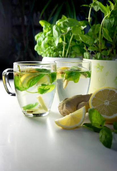 Zwei Teetassen mit frischer Pfefferminze, Ingwer und Zitrone — Stockfoto